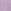 Purple Lilac
