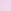 Lilac Purple