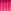 Rosa fucsia