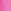 Pink Floral