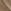 Taupe Brown