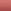 787 Camellia Nude