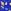 Blue/Navy