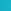 Cactus Blue