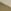 Medium Olive Green