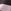 Pink/Brown Stripe