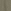 Khaki Green Dinosaur