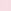 Pink Tulip