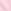 Pink Tulip