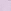 Lilac Bows