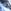 Black/Blue Football Boot