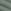 Sea  green