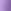 Bright Purple
