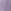Purple Lilac