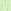 Green Stripe