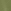 Khaki Green Cheetah Pocket