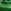 Green Check