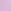 Violet Sugar Purple