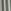 Sage Green Stripe