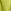 Green Frog
