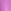 Magenta Pink Slogan