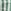 Green Stripe