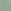 SEASALT GREEN