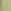Green Sage