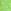 Green/Yellow Shark