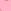 Tea rose Pink