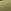 Khaki Green