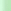 Green Back Print
