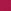Pink Fuchsia