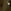 Animal Khaki Green