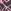 Multi Pink/Black Graffiti Heart