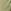 Khaki Green