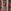 Red Multi Floral Tapestry Stripe