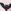 White/Black Bats