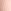 Zuiverste roze gestreept