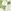 Sail Cloth Meadow Gilver