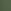 Jungle Green