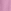 Blue/Pink Cataroon