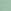SEASALT GREEN