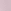 Pink Tulip
