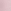 Pink Tulip