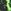 Black/Green Lightning