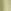 Green Khaki