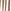 Neutral Brown