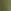 Khaki Green Graffiti Back