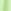 Lime Green Graffiti